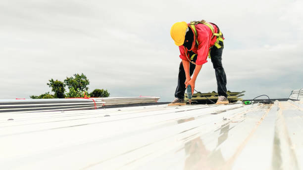 Best Asphalt Shingle Roofing  in Kaumakani, HI