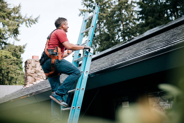 Best Roof Leak Repair  in Kaumakani, HI
