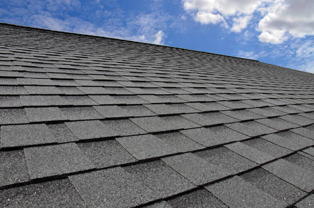 Best Solar Panel Roofing Installation  in Kaumakani, HI